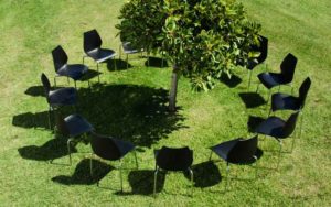 Circle of chairs around tree