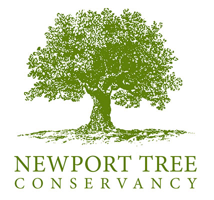 Newport-Tree-logo
