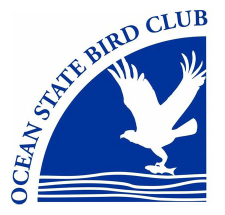 Ocean-State-Bird-logo