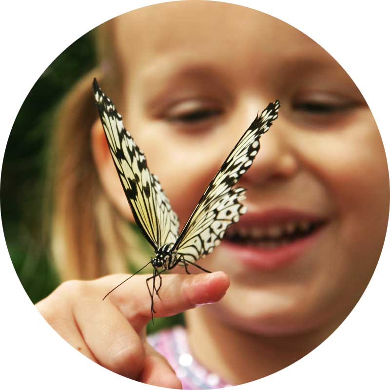 Child with butterfly