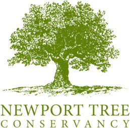 Newport Tree Conservancy Logo