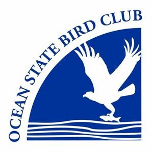 Ocean State Bird Club Logo