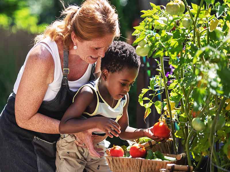 Aquidneck Community Table