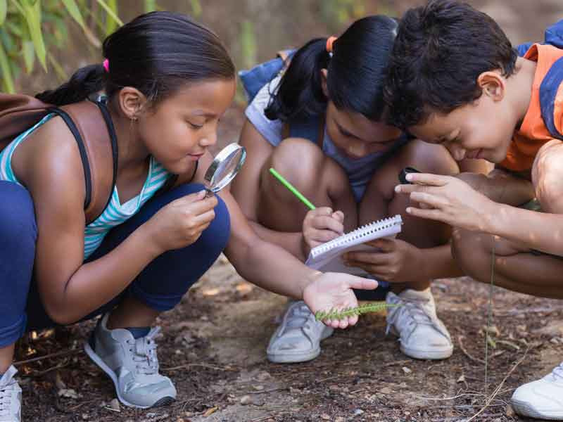 Climate Literacy & Energy Awareness Network