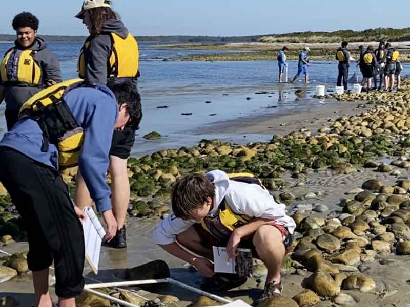 New England Science & Sailing Foundation