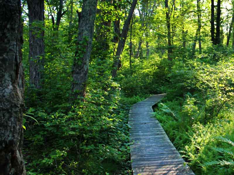 Norman Bird Sanctuary