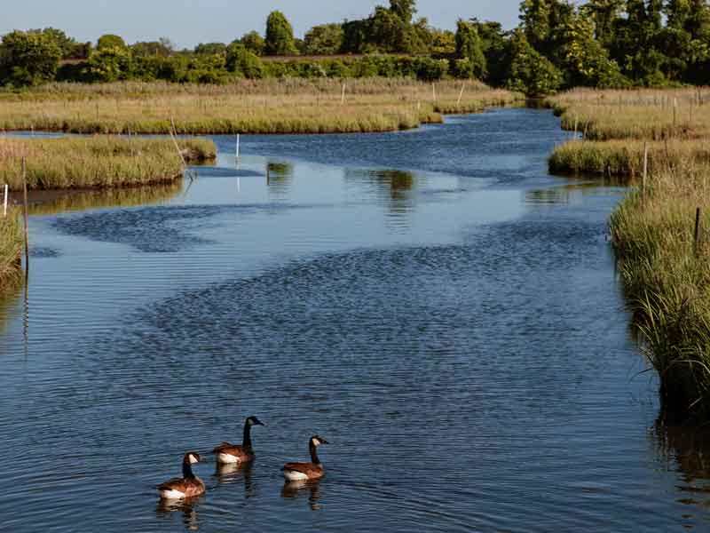 Northern Rhode Island Conservation District