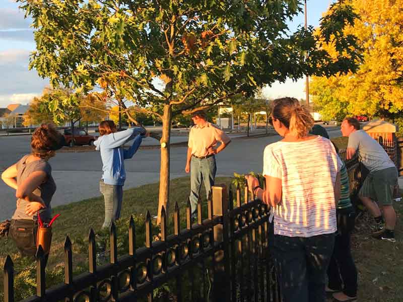 Providence Neighborhood Planting Program