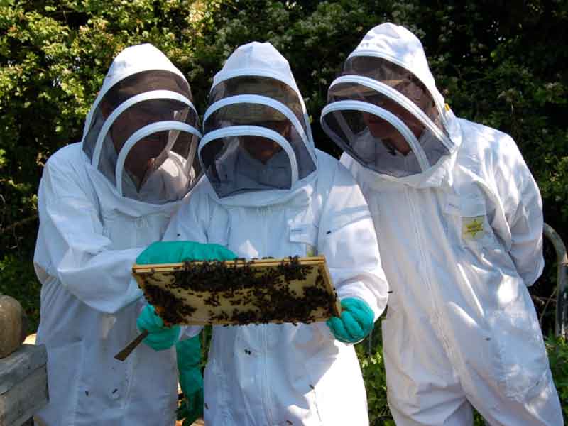 Rhode Island Beekeepers Association
