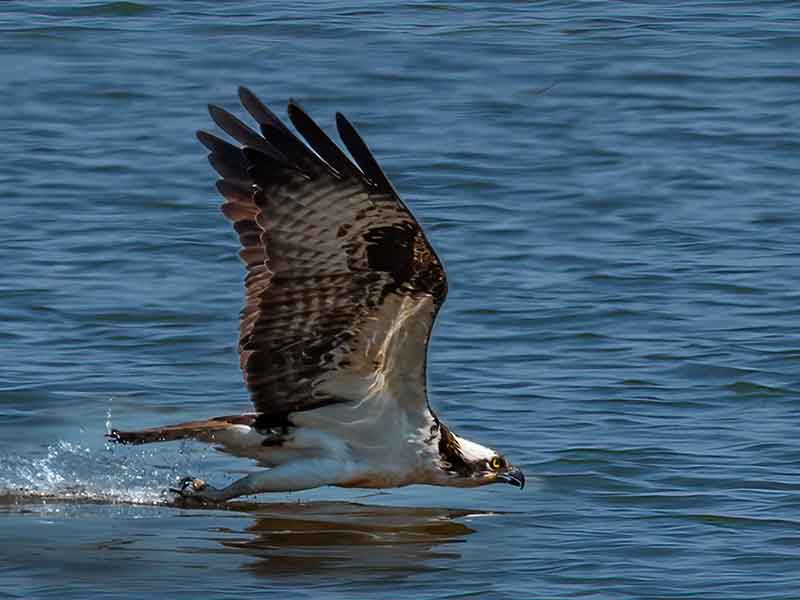 Rhode Island Environmental Education Association