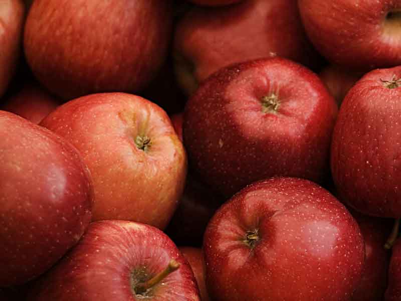 Rhode Island Fruit Growers Association
