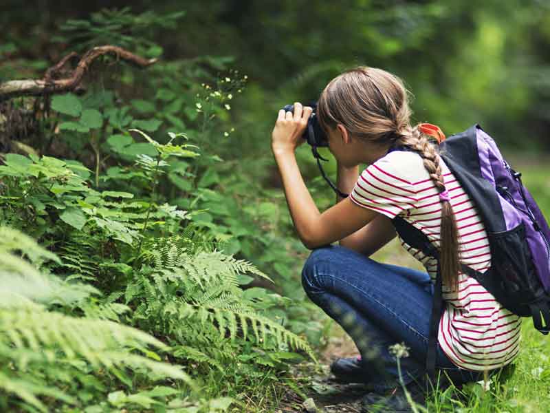 Nature’s Notebook