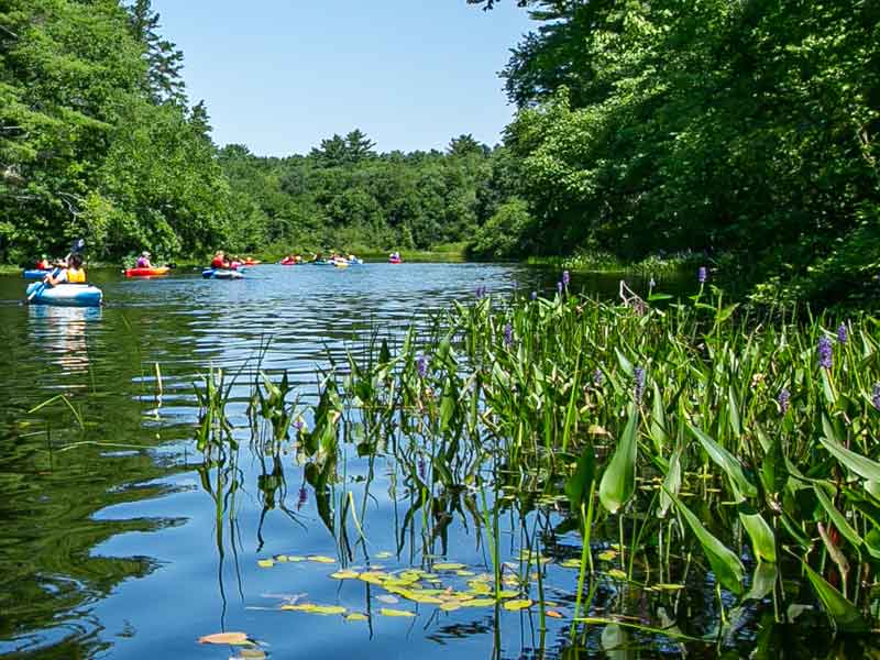 Wood-Pawcatuck Watershed Association