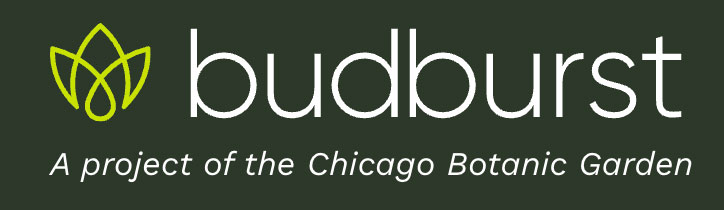Budburst, a project of the Chicago Botanic Garden Logo