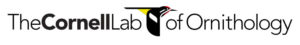 Cornell Lab of Ornithology’s Celebrate Urban Birds Logo