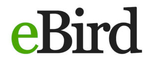 eBird Logo