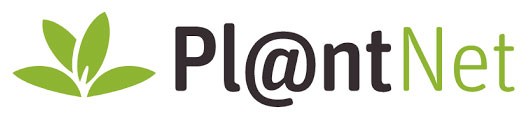 Pl@ntNet Logo