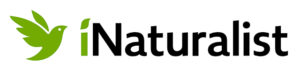 iNaturalist Logo