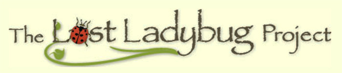 Lost Ladybug Project Logo