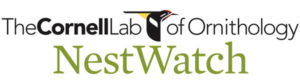 NestWatch Logo