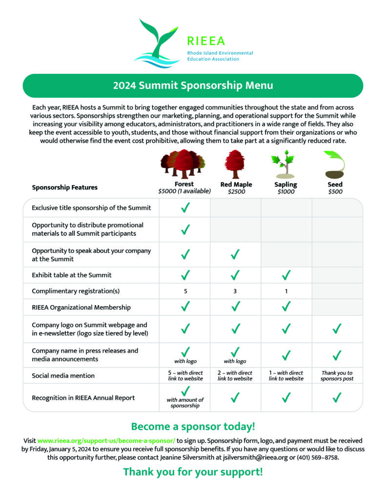 Sponsorship menu 2024 RIEEA Summit