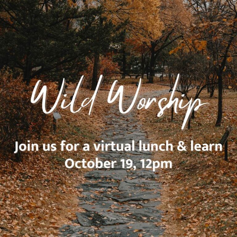 Wild Worship - join us for a virtual lunch and learn October 19, 12pm
