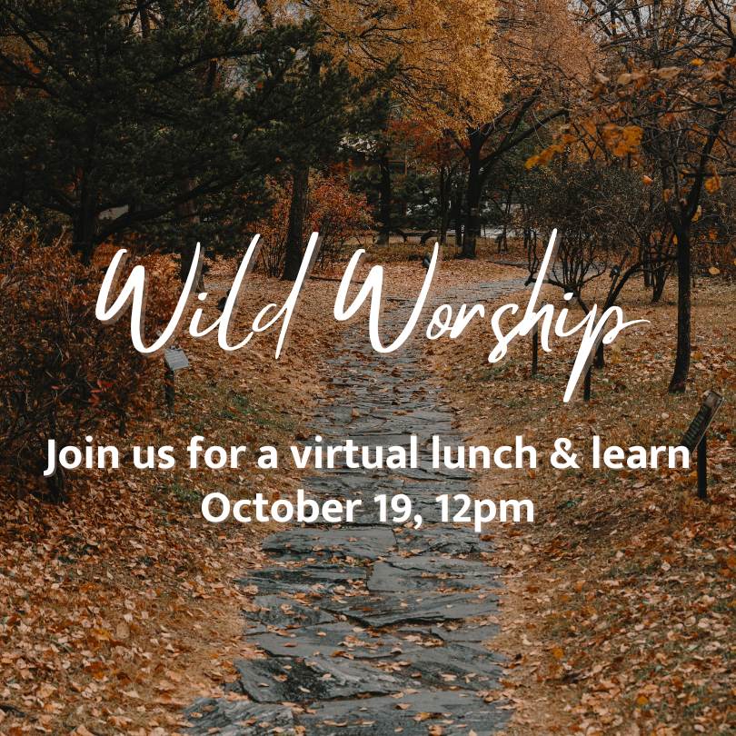 Wild Worship - join us for a virtual lunch and learn October 19, 12pm