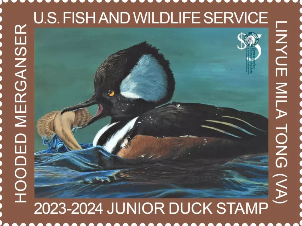 Junior Duck Stamp 2023-2024 logo