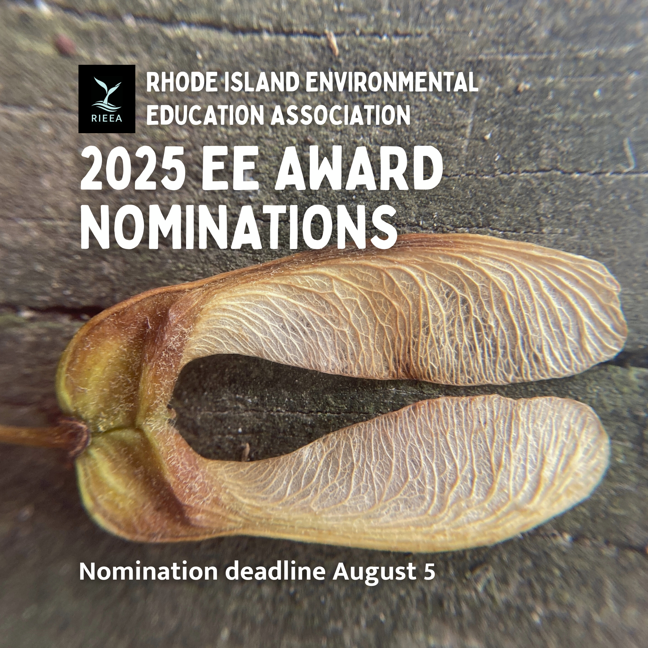 Dried maple seed laying flat on wood. RIEEA logo. Text reads: RIEEA 2025 EE Award Nominations. Nomination deadline August 5.
