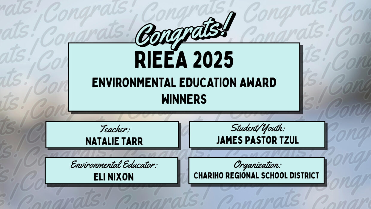 RIEEA 2025 EE award winners