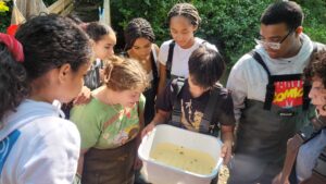 Natalie Tarr - students wearing waders looking at a bucket with specimens