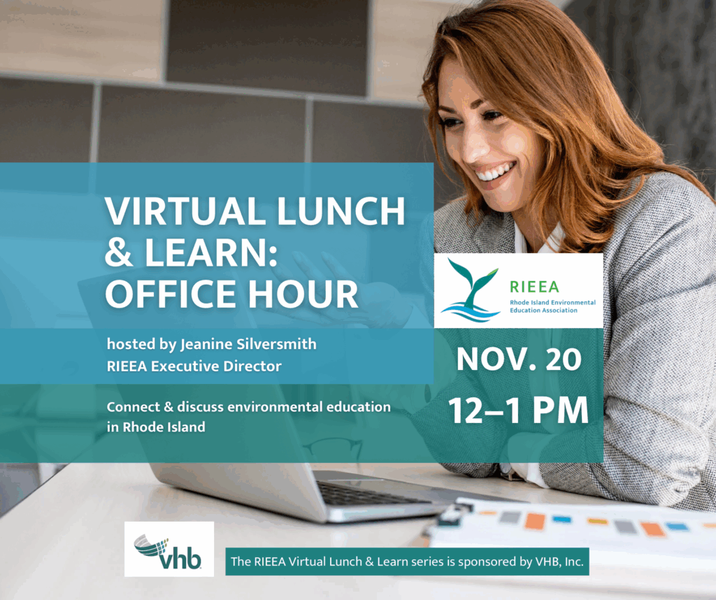 November 2026 virtual lunch & Learn