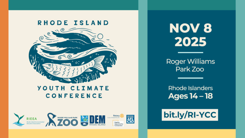 Youth climate conference 2025 horizontal feature image