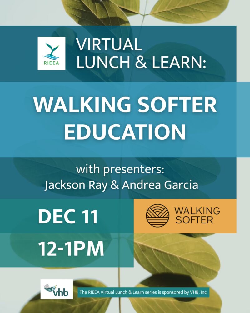 December 11 2025 virtual lunch & learn walking softer
