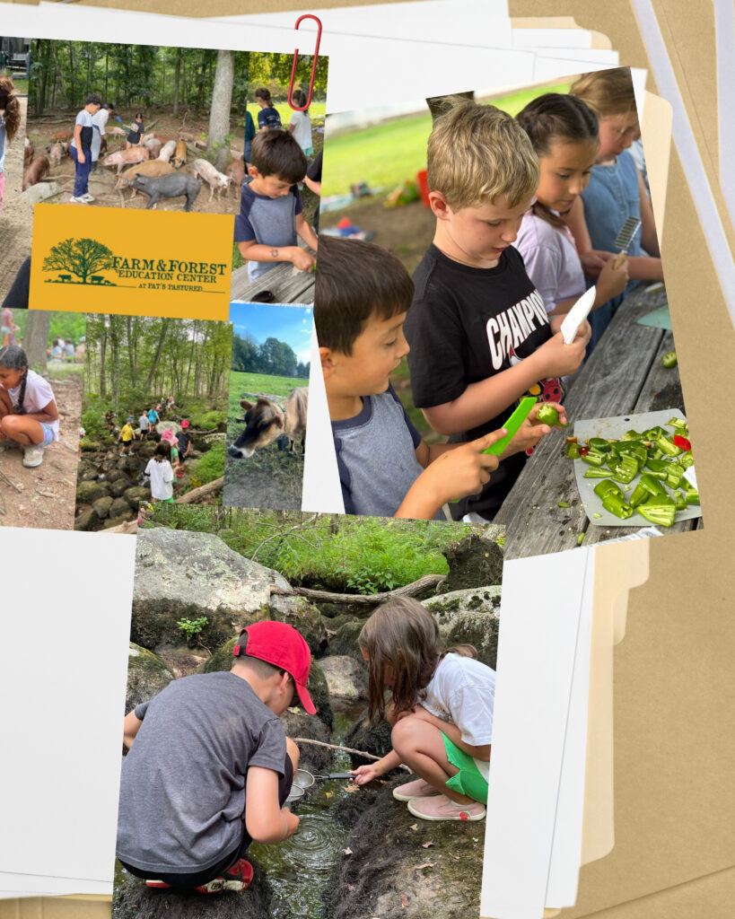 Member spotlight farm and forest education center ffec