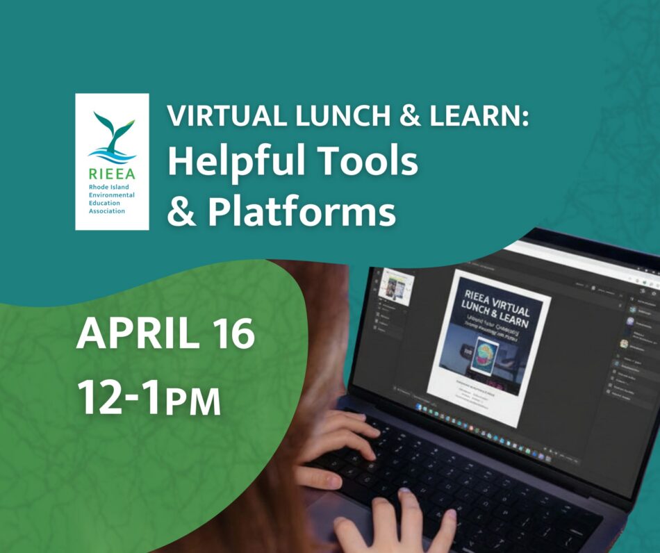 person using computer to create a design on canva