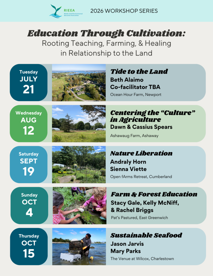 professional development workshop series 2026