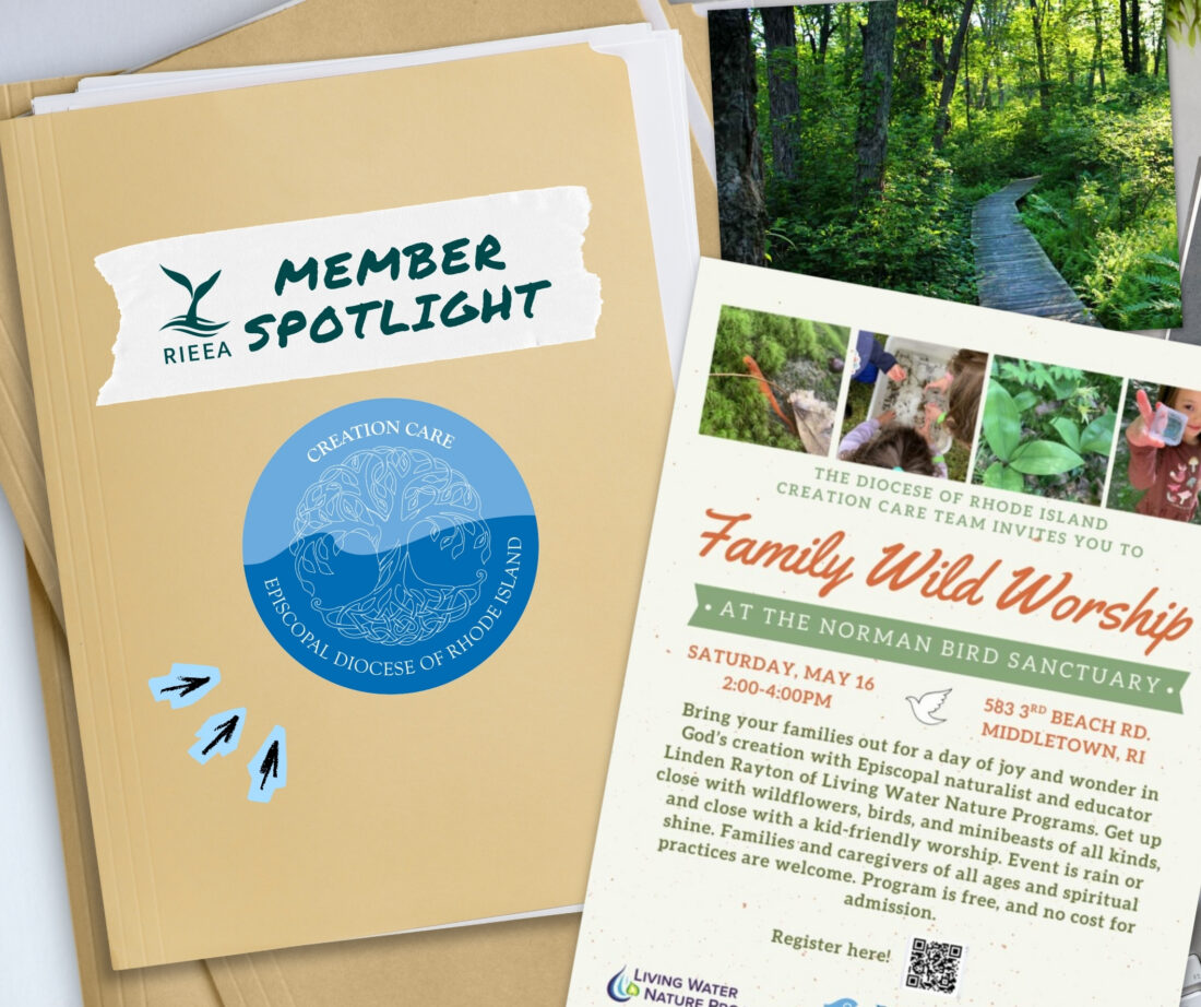 creation care ministries member spotlight family wild worship at the norman bird sanctuary