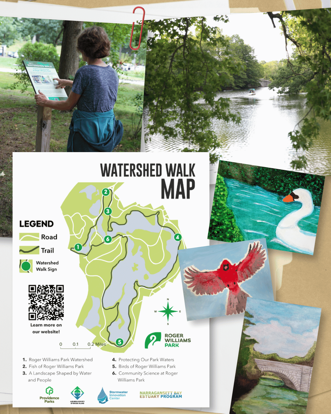stormwater innovation center watershed walk Roger Williams park rieea member spotlight