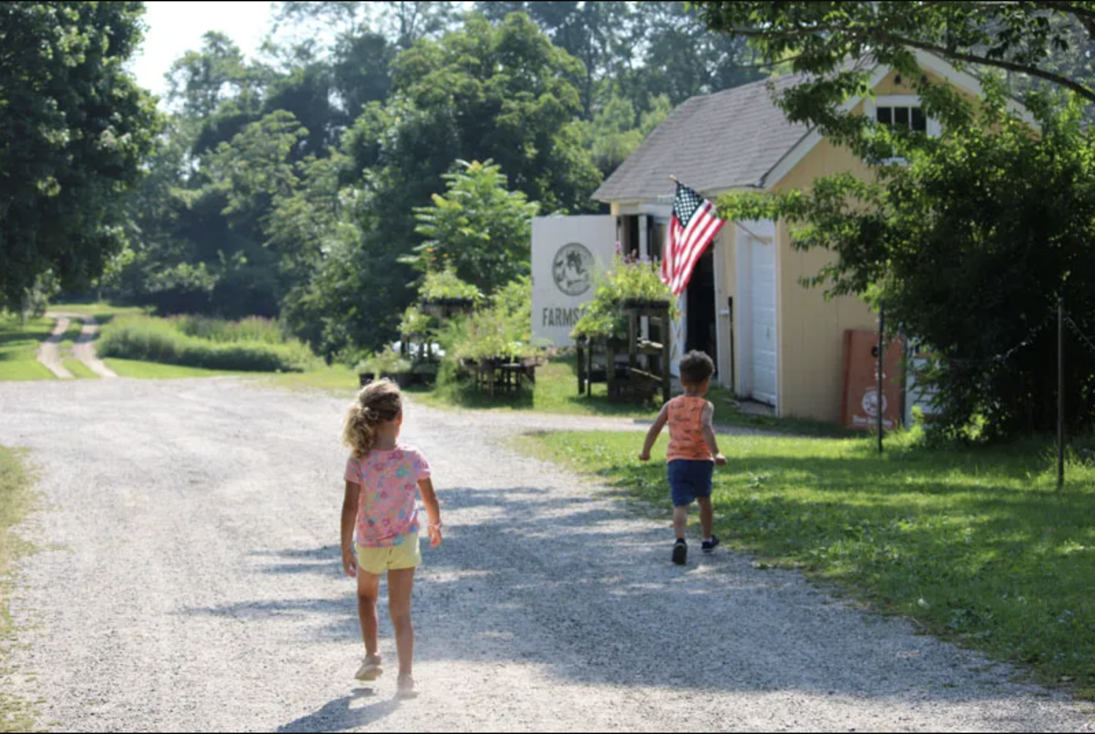 Two young children walking in front of a farm stand